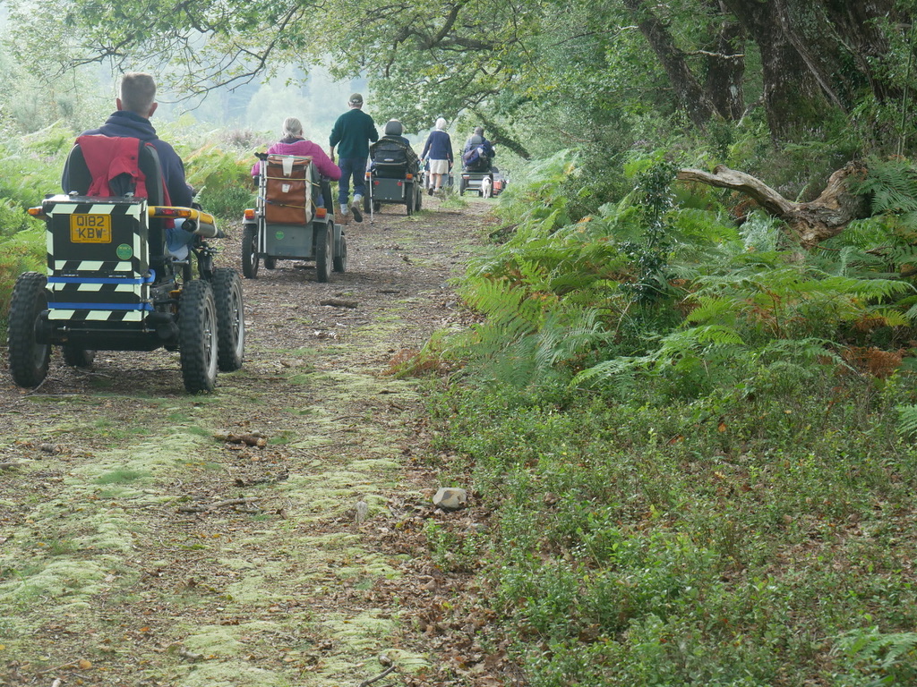 Dartmoor Walking Festival 2024